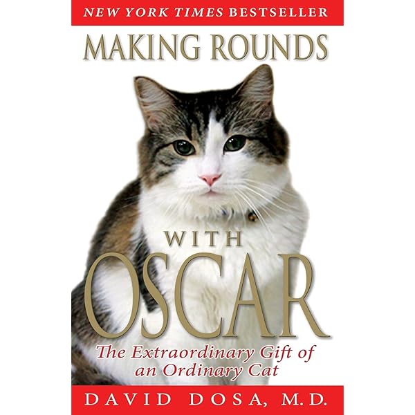 中古】 DEWEY(A)/GRAND CENTRAL PUBLISHING (USA)/VICKI *SEE