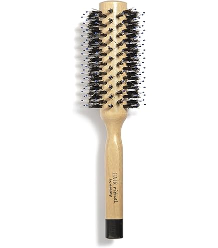 Amazon.com : Sisley Paris The Blow Dry Brush No.2 - Large-Sized
