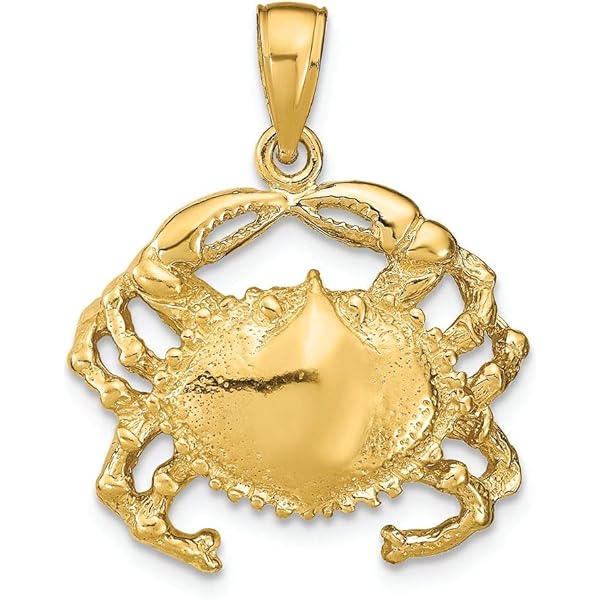 Amazon.com: FJC Finejewelers 14k 黃金迷你沙幣,附固定保釋吊飾