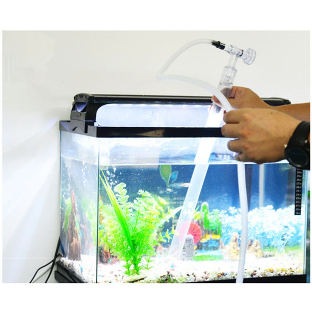 best way to clean aquarium sand