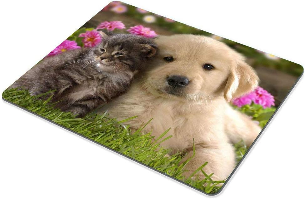 Wasach Mouse Pad Animals Cat Kitten Dog Golden Retriever Puppy Mousepad Rubber Gaming Mat 9.5 X 7.9 Inch (240mmX200mmX3mm) - Image 4