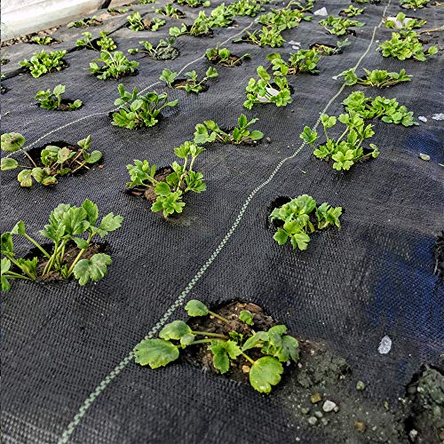 Anpatio 4 ft. x 50 ft. Heavey Duty Weed Barrier Black Durable Polypropylene Woven Stabilization Landscape Fabric High Water Permeability Garden Ground Cover Tarp