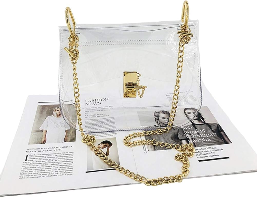 colorful clear purse