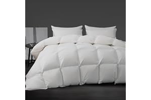 HYVIF Luxury White Down Fiber Comforter King Size - Down Fiber Comforter for All Seasons - Ultra-Soft Duvet Insert Medium Warmth - Hotel Collection Comforters，59 Oz (106x90)