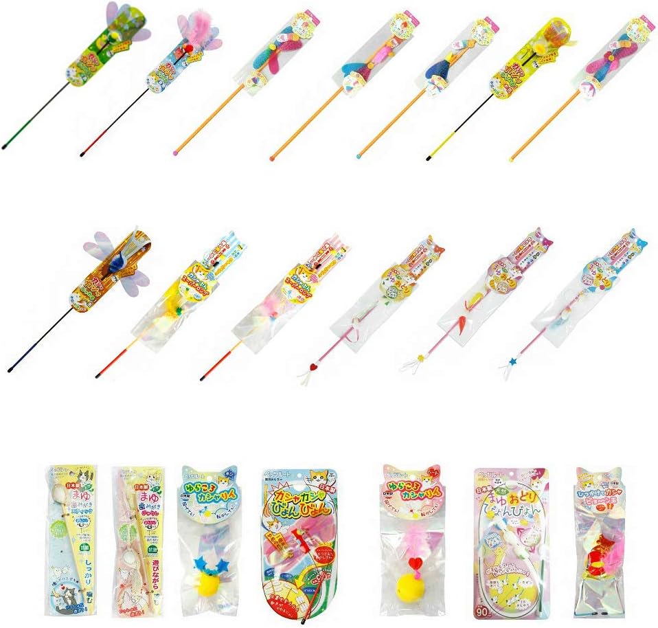 having a hamster as a pet