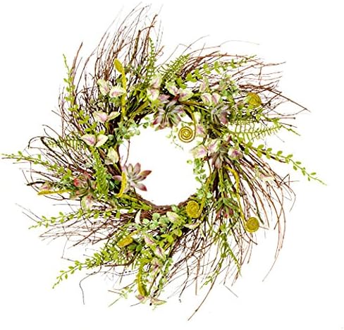 Twig Fern &amp; Succulents Wreath 24" Spring Door Wall Decor
