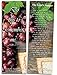 eThought Bible Verse Cards - Favorite Bible Verses - Assorted Pack of 50 Bookmark Size Cards