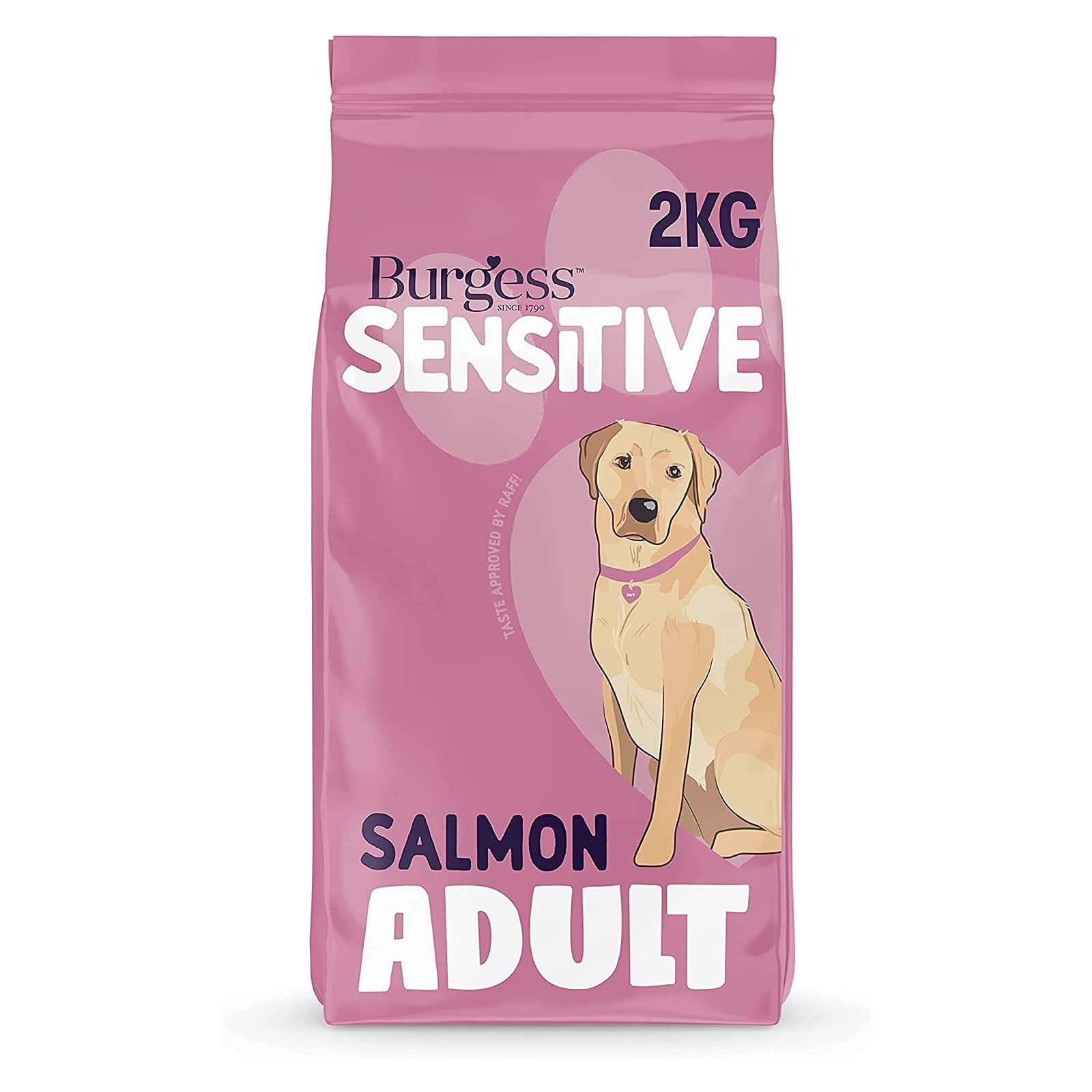 Burgess Sensitive Salmon Plus Rice for Adult Dog, 2 kg, Pack of 4