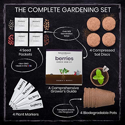 Nature's Blossom Fruit Growing Kit. Grow 4 Types of Berries from Seed