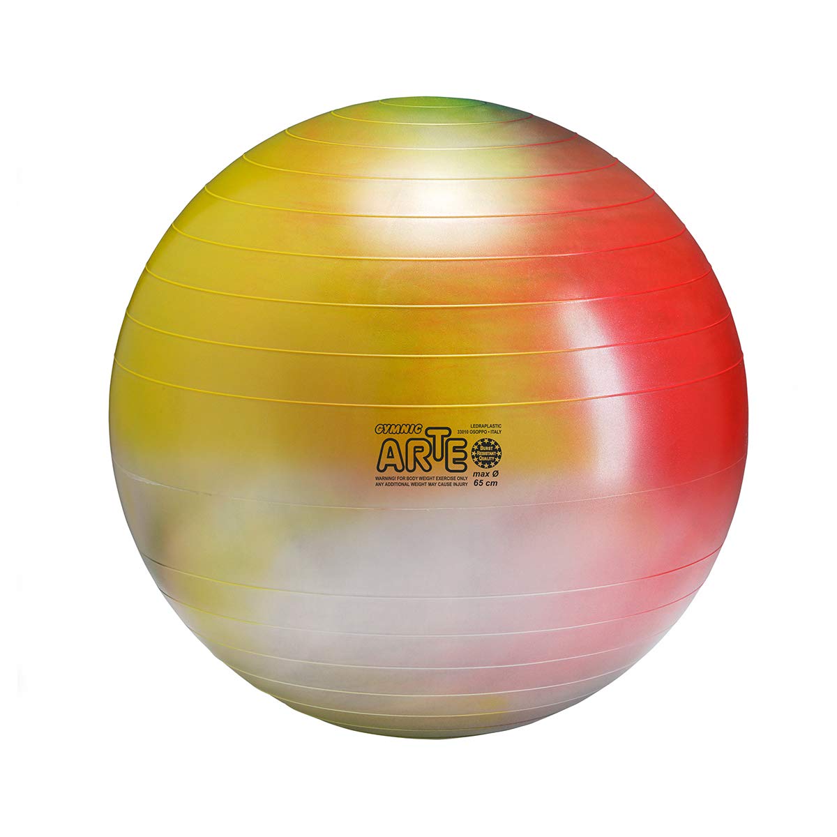 Gymnic Arte Plus BurstResistant Exercise Ball (65 cm), Exercise Balls