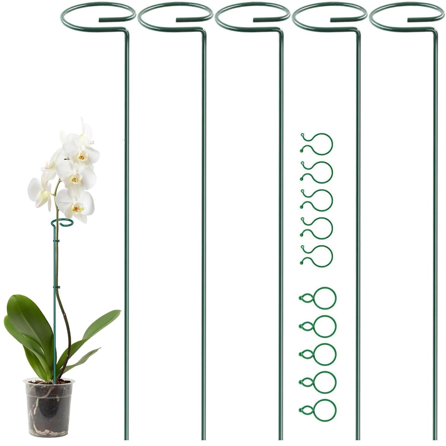 5 Pcs Plant Support Flower Stakes Single Stem Plant Supports Garden Cages Metal Sticks 40 cm with 10 Pieces Gardening Clip for Flowers, Tomatoes, Peony, Lily, Rose, Flower Stem, Amaryllis