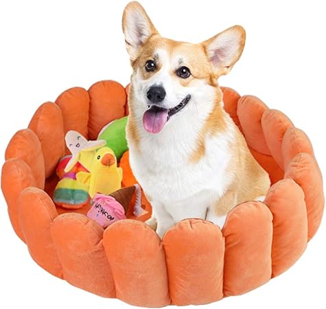 fruit tart dog bed