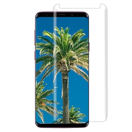 Brainstorm Museo de enseñanza de la historia Natural dinosaurios ...