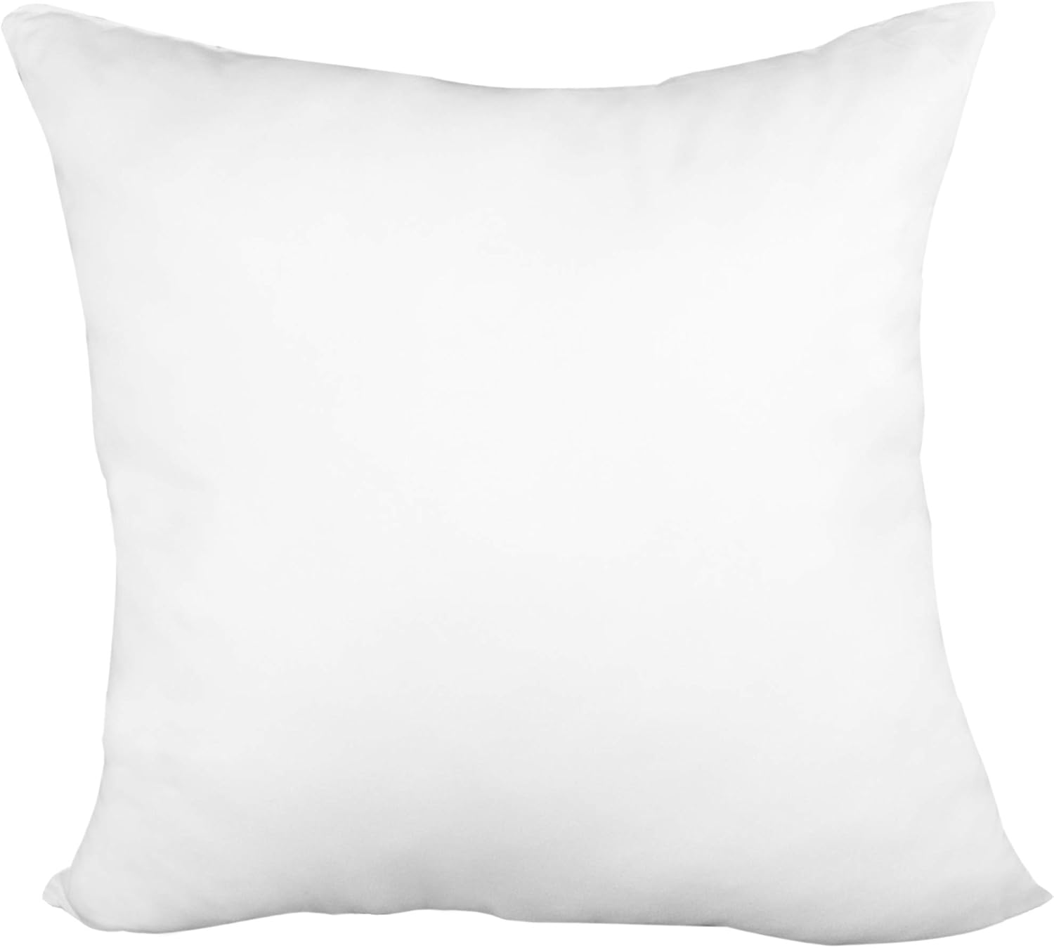Pillow Insert 20" x 20" Polyester Filled Premium Fabric Cover Amazon