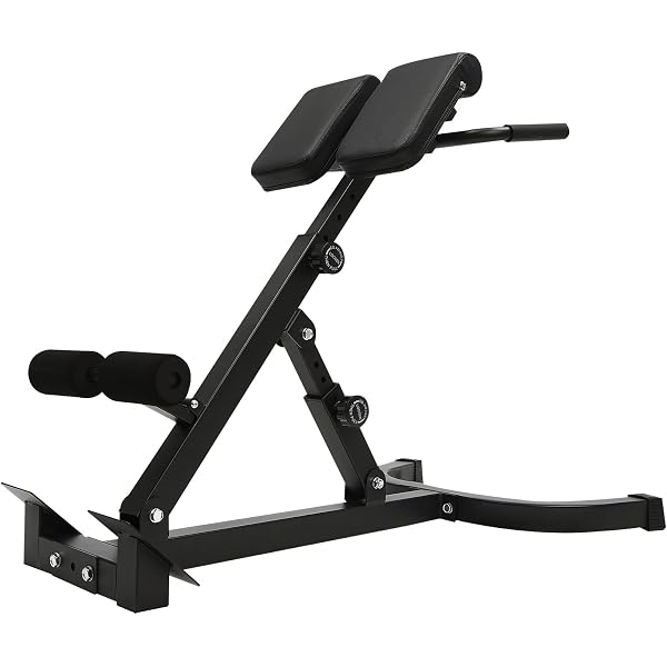 Core Workout Bench 770 Lbs Capacity Hyperextension Bench VEVOR Multi ...