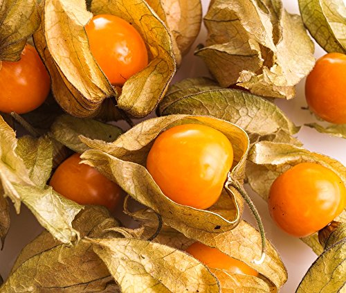 Cape Gooseberry, Ground Cherry seeds - Physalis peruviana