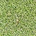 Artificial Turf Lawn Fake Grass Indoor Outdoor Landscape Pet Dog Area (5X3.3 ft)