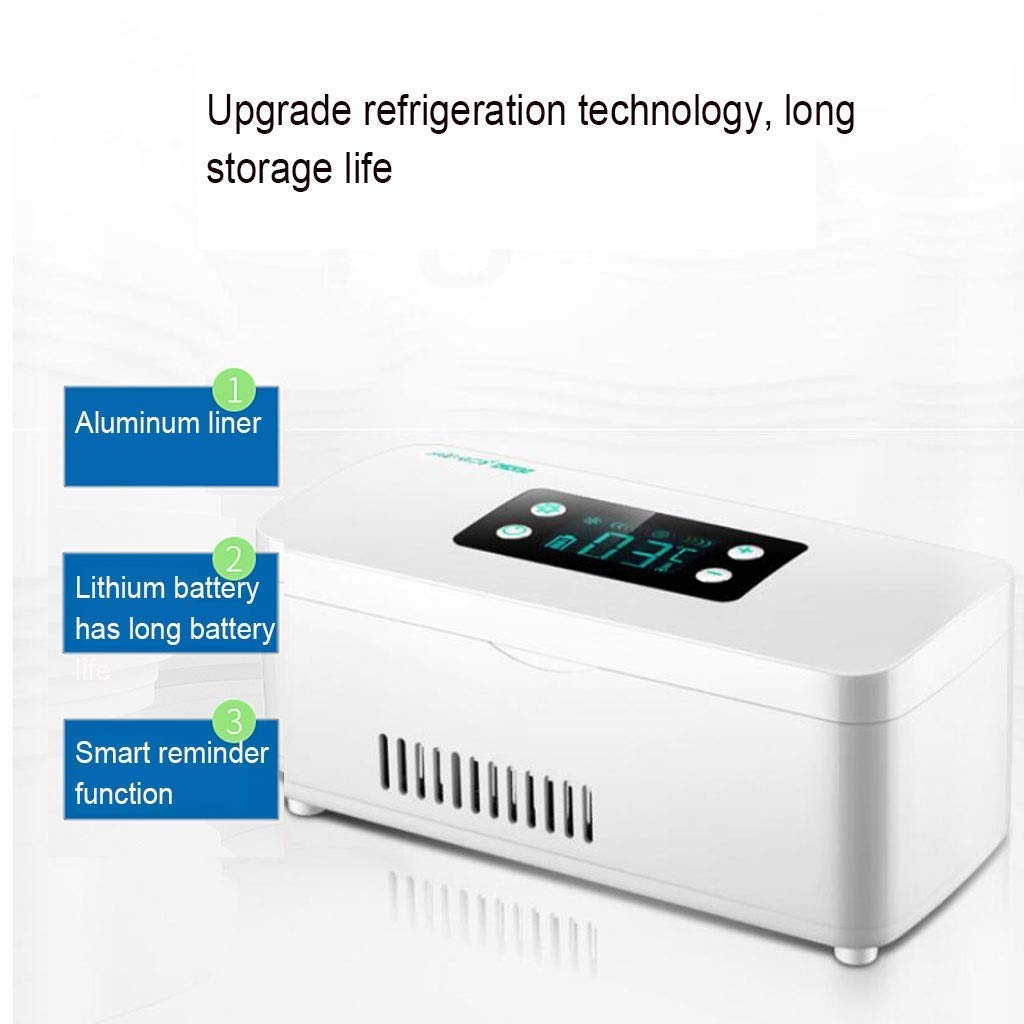 WYJW Mini refrigeradores Insulina Caja refrigerada Portátil ...