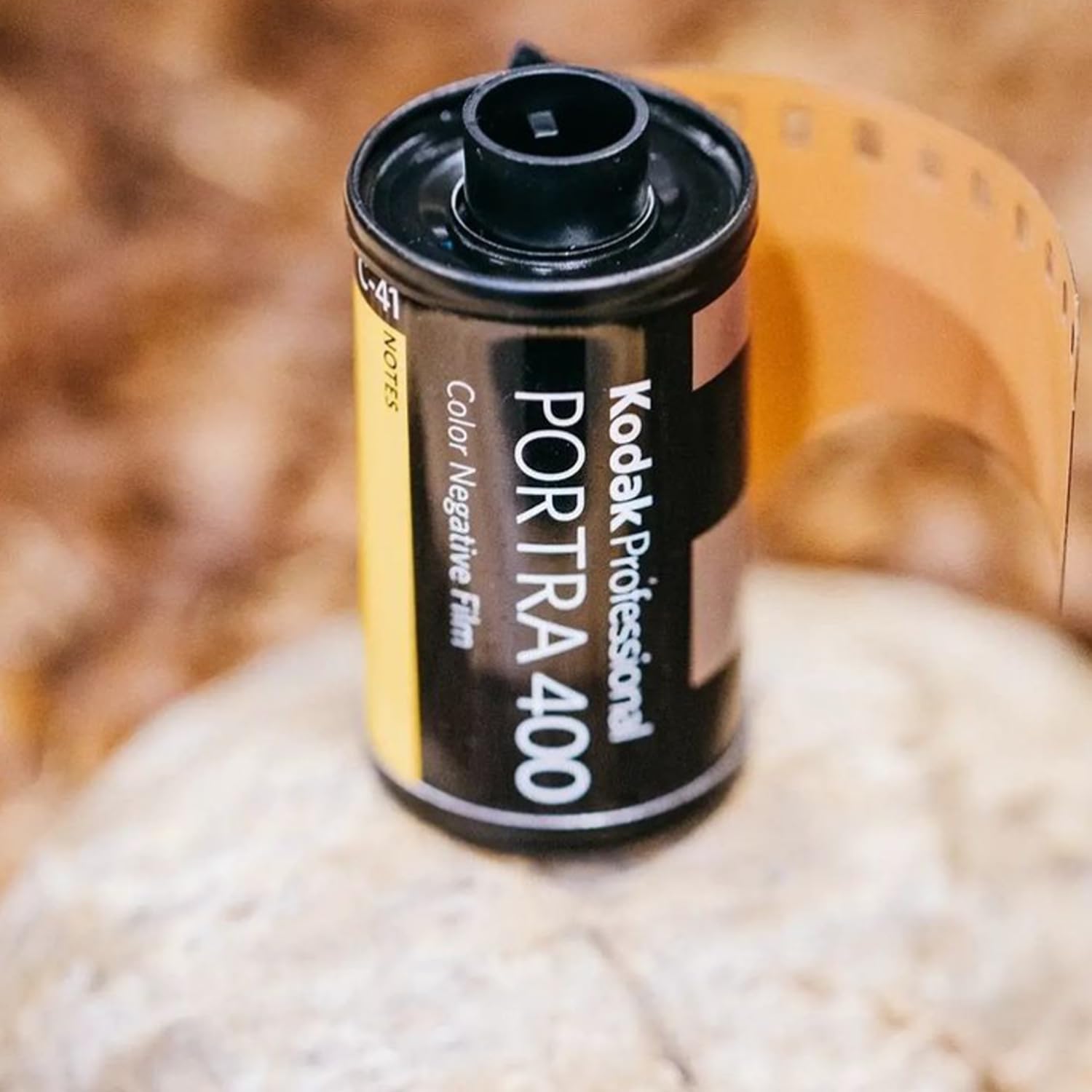Kodak Portra 400 Film - 2 Pack of 36exp Rolls for 35mm Cameras