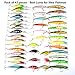 Hard Fishing Lures 43pcs Topwater Lures & Crankbaits Gear for Freshwater,Fishing Tackle Lure Kit Set is for Fishing Enthusiasts