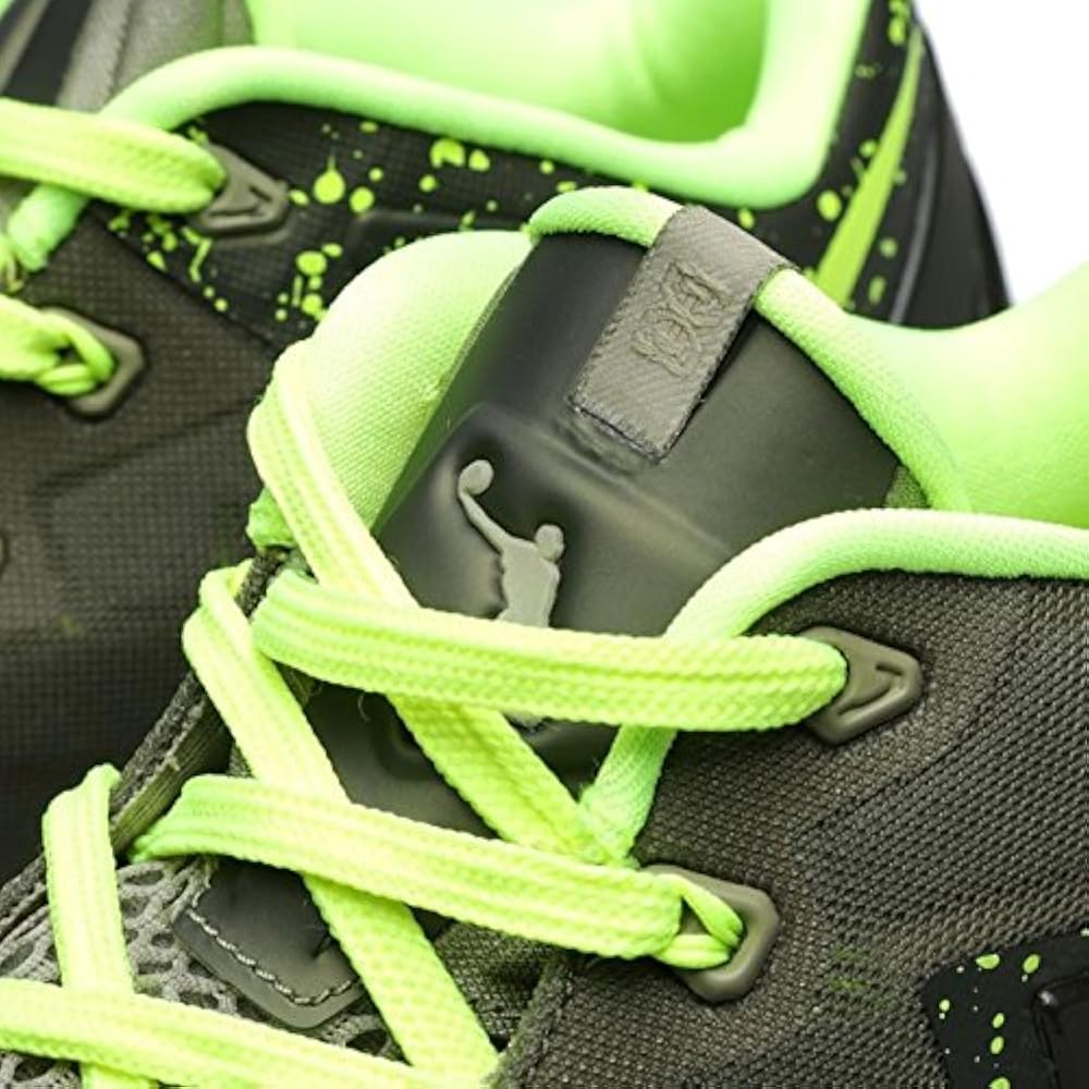 lebron 11 low dunkman