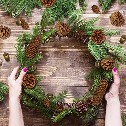 CHolic 72Pcs Pine Cone Set, Natural Pinecone Acorns Pine Cones Ornaments for Autumn and Winter Crafts Decorating, Christmas Decor, Bowl Vase Fillers