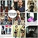Premium Athletic Compression Socks by FitShit - Men & Women - Best for Running, Crossfit, Travel, Nurses