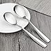 HOMMP 6-Piece Stainless Steel Buffet Banquet Serving Spoons, 9.3 Inches