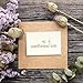 Elegant Pastel Catholic Sacrament Greeting Cards - 9 Sacramental Greetings for Baptism, First Communion, Confirmation, Wedding Blessings, Envelopes Included - 36 Pack