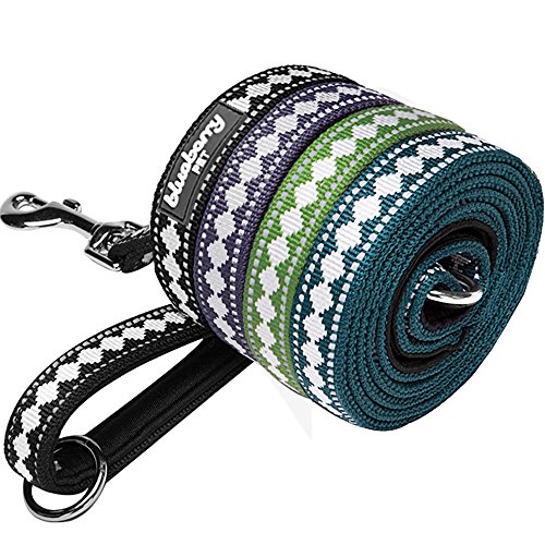 Blueberry Pet Leashes For Dog 3/4" M Size by 5-Feet Long Jacquard Dog Leash in Teal Blue with Neoprene Padded Handle, Medium