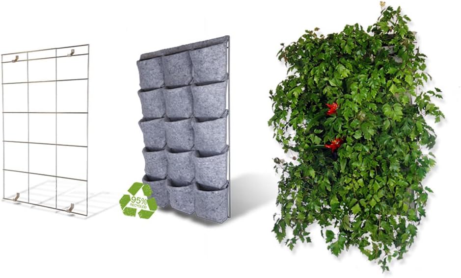 Jardín Vertical: Amazon.es: Jardín