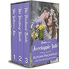 Sweetapple Falls books 1-3: Three uplifting small-town Christian romances