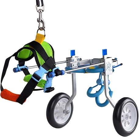 Amazon.com: HiHydro - Silla de ruedas para mascotas con 6 tipos para minusválidos, patas pequeñas, perros, perros, perros, perros, cachorros, paseos de acero inoxidable XXS-L: Mascotas