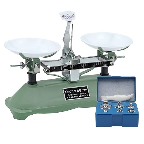 nomal Balance Scale, 200g Double Pan Balance Scale with Weights and ...
