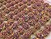War World Scenics Mixed Flower 6mm Self Adhesive Static Grass Tufts x 100 - Railway Modeling Wargaming Terrain Model Diorama