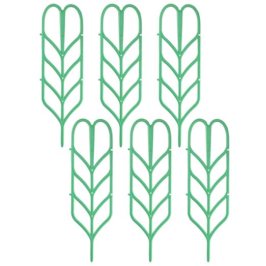 Anpatio - Enrejado de plástico para Plantas de Interior (6 ...