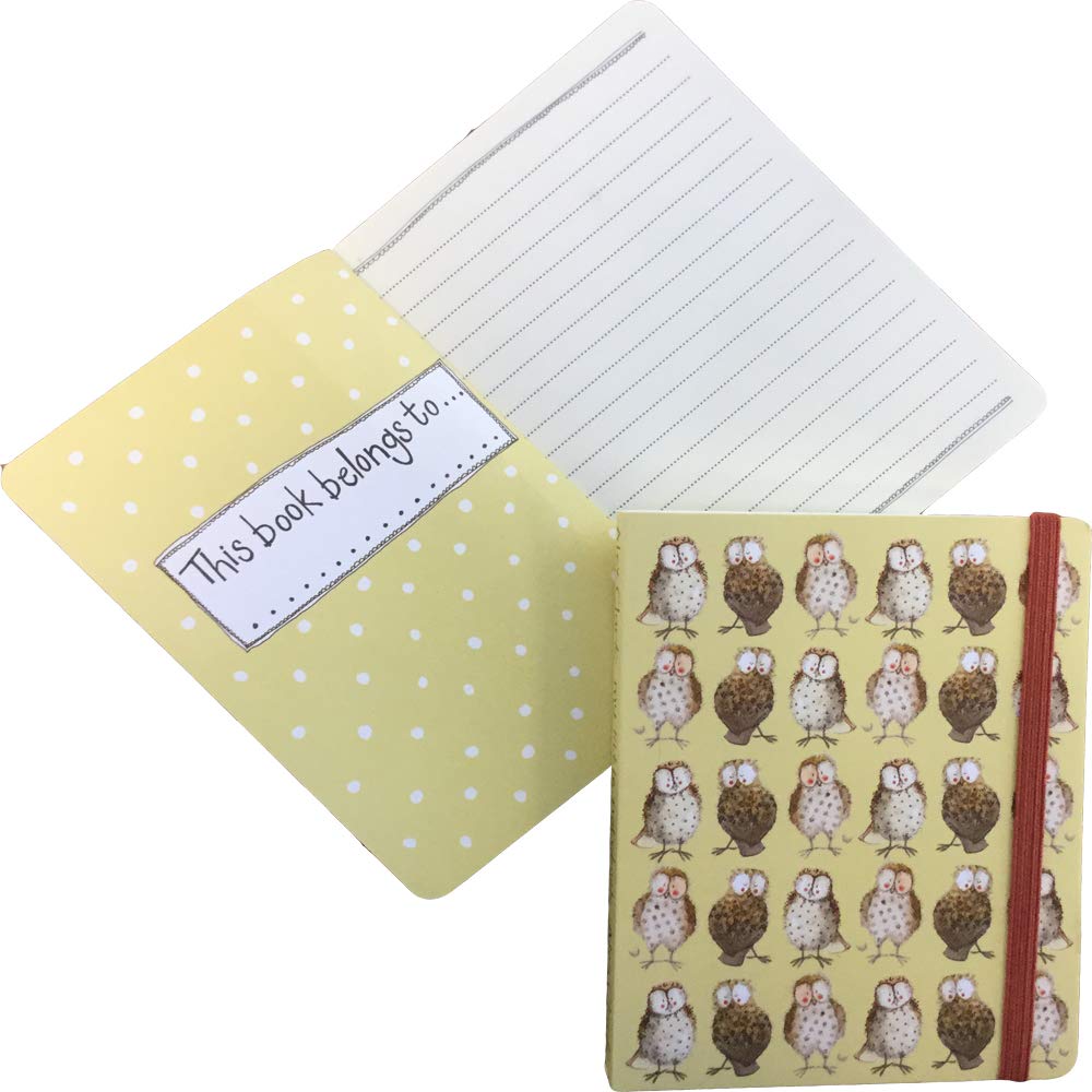 ALEX CLARK Owls Small Chunky Notebook