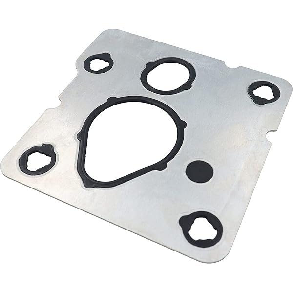 Amazon.com: 12V Fuel Transfer Pump 4935092 4088507 5362253 