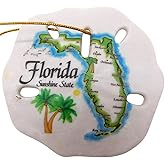 Florida Ornament Painted Sand Dollar Polyresin Sunshine State Decoration Christmas Tree Decor