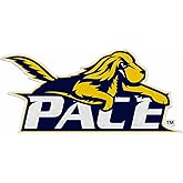 Rico Industries NCAA Pace Setters Shape Cut Pennant - Home and Living Room Décor - Soft Felt EZ to Hang