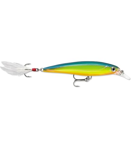 Amazon.com : Rapala X-Rap 10 Medium Diving Jerkbait - Rusty