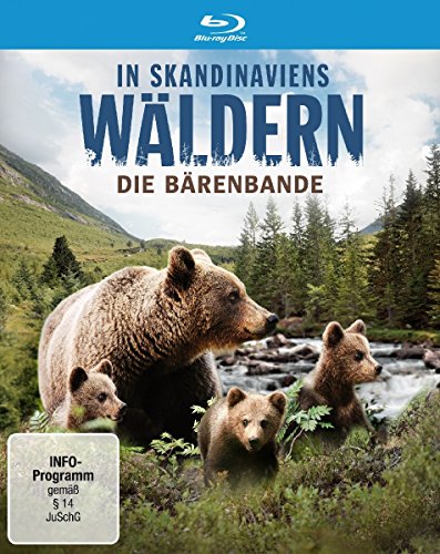 In Scandinaviens Wäldern-Bärenbande Bd