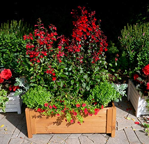 BOGATECO Pflanzkasten Pflanzkübel aus Holz | 80 x 38 cm | Eiche Braun | Blumen-Topf Perfekt für Garten, Terrasse & Balkon | Stabile und Robuste Konstruktion | Imprägniert | Mit Agro-Textil – Bild 8