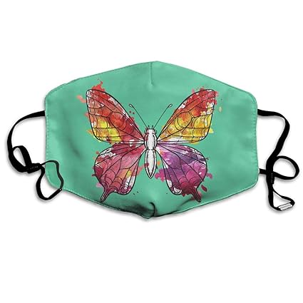 Amazoncom Custom Anti Dust Mouth Mask Butterfly Draw