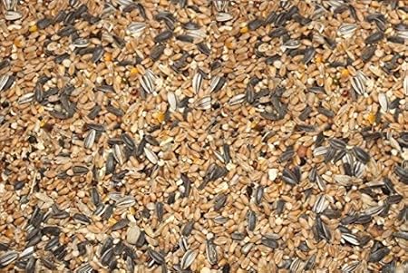 25kg FutterXL Streufutter / Winterstreufutter für Vögel