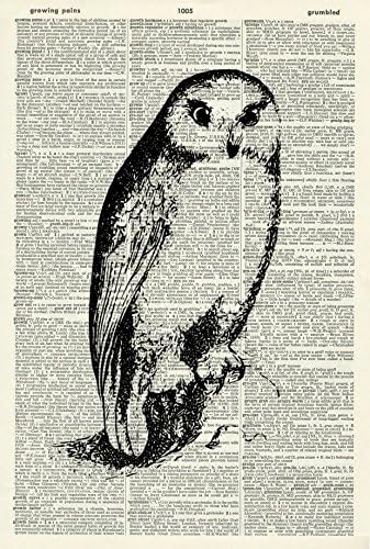 Owl Art Print - VINTAGE ART PRINT - Bird ART PRINT - Vintage Dictionary Art Print - Wildlife ART - BLACK &amp; WHITE - BOOK ART PRINT - WALL ART - Illustration - Picture - Wall Hanging - ARTWORK 717D