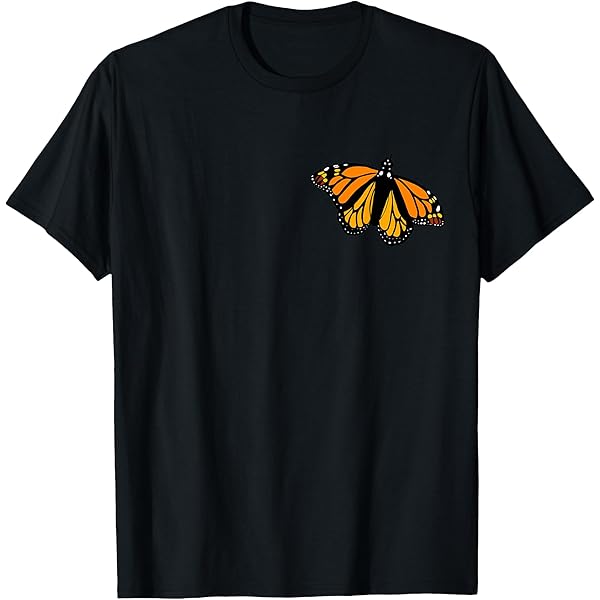 Amazon.com: Butterflies Butterfly Collection Scientific T