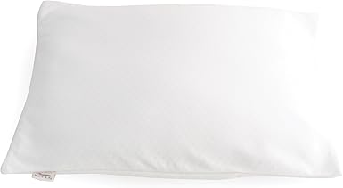 Amazon Com Bucky B671bwh 20 X 16 Inch Travel Duo Bed Pillow