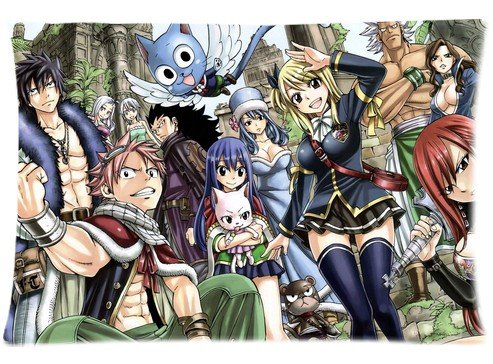 Decorative Fairy Tail Customized Pillow Case Rectangle Double-sides Cosplay Anime Pillowcase DIY Design 16"x24" 20"x30" (16"x24", F1)