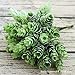 Supla 2 Bushes 7 inch Artificial Hops Artificial Shrubs Artificial Succulent Faux Succulents Faux Pinecone Plastic Succulents, 6 Stems Bush